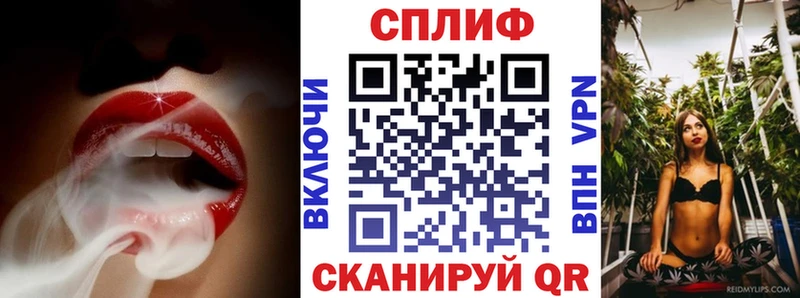 Конопля ГИДРОПОН  Сланцы 