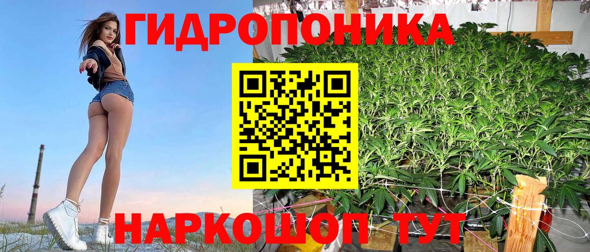Конопля тримм Сланцы